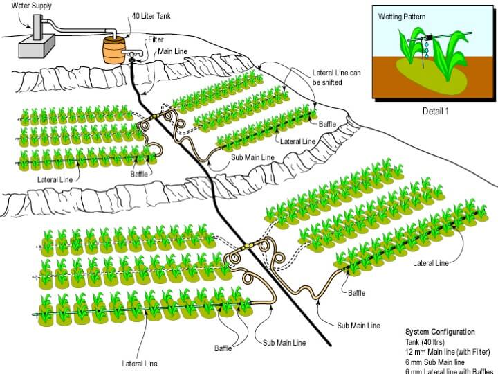 Drip Irrigation