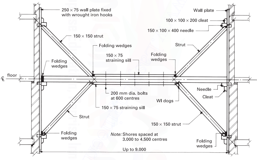 Typical Fly Single Shore