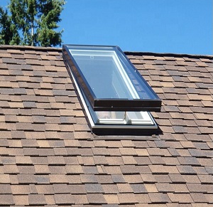 Skylight Window