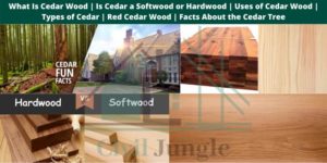 Cedar Wood