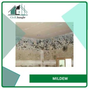 Mildew