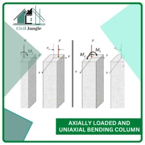 Axially Loaded and Uniaxial Bending Column