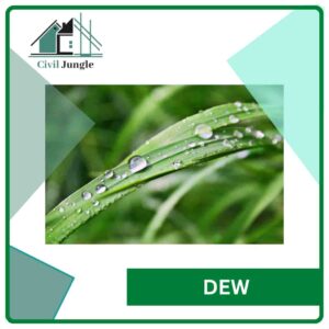 Dew