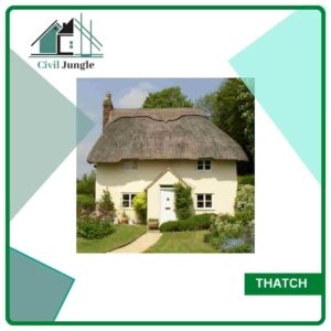 Thatch