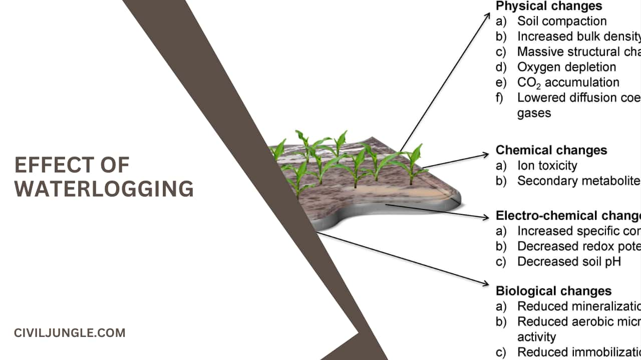 Effect of Waterlogging