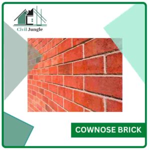 Cownose Brick