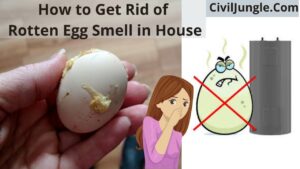 How to Get Rid of Rotten Egg Smell in House