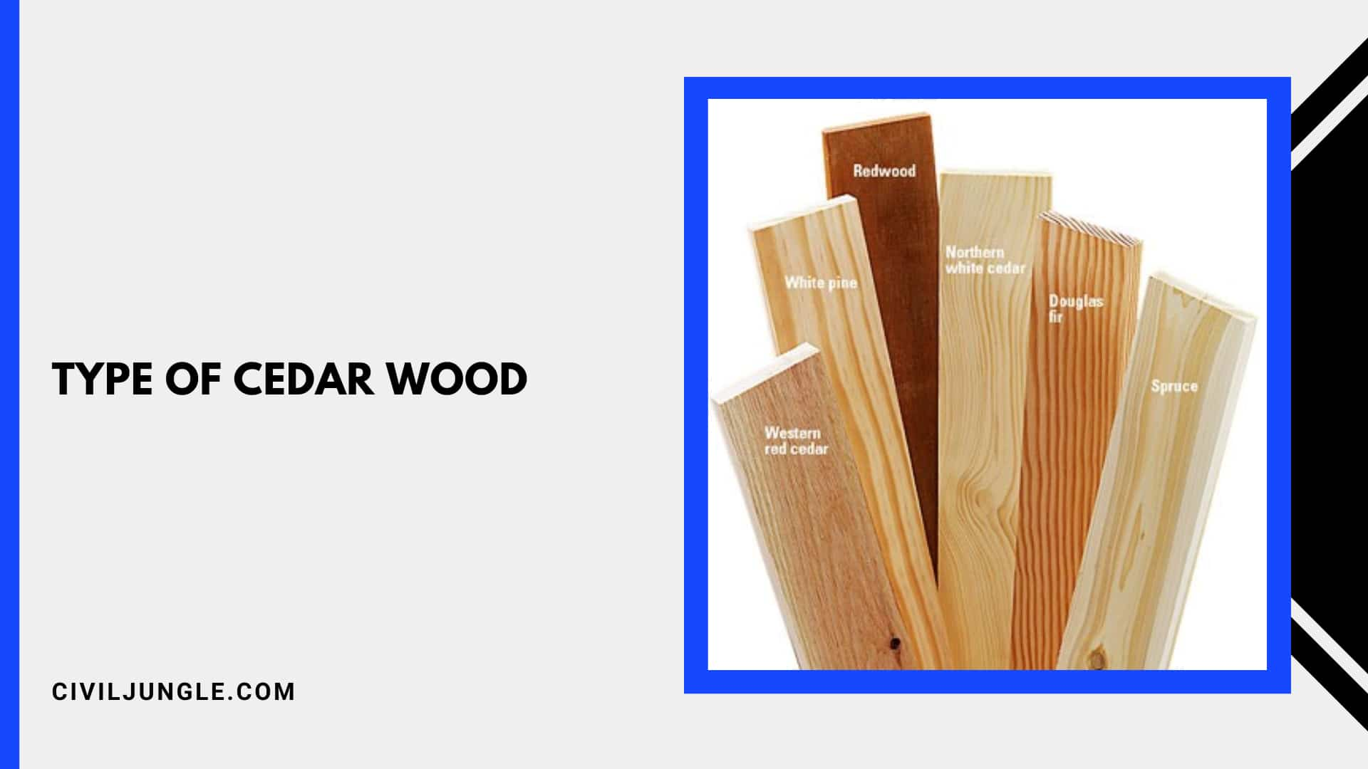 Type of Cedar Wood