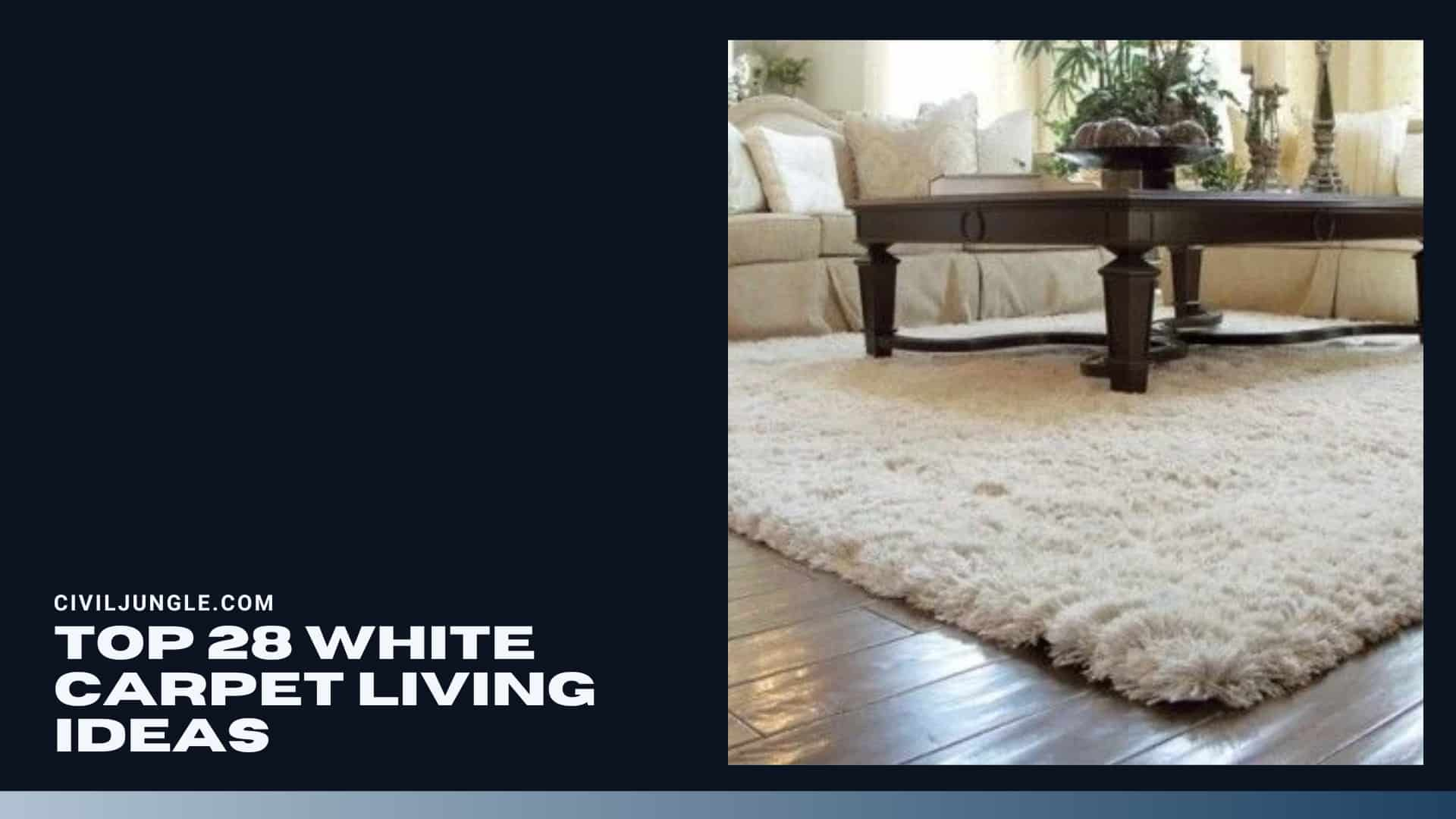 Top 28 White Carpet Living Ideas