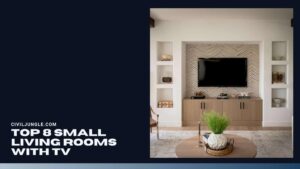 Top 8 Small Living Rooms With TV