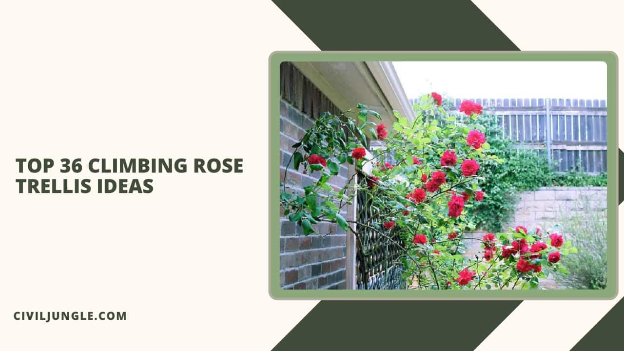 Top 36 Climbing Rose Trellis Ideas